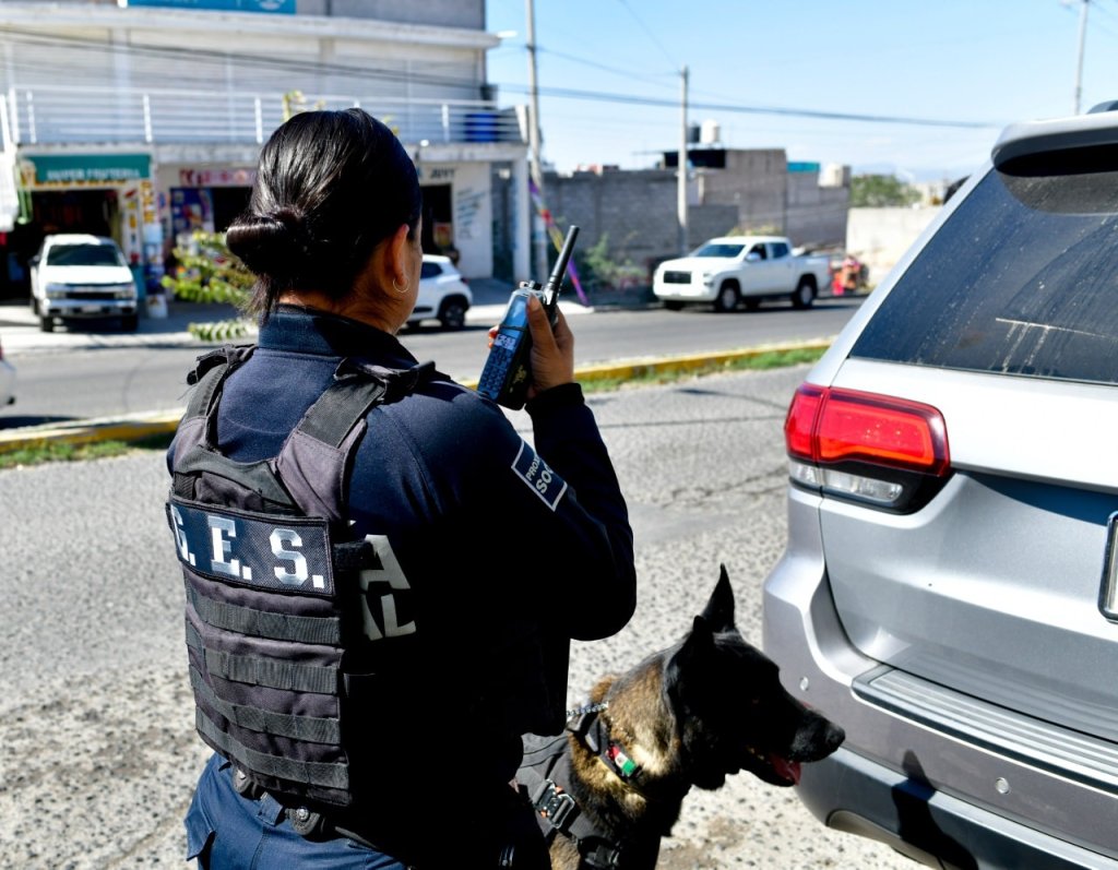 Foto: Facebook Seguridad Pública Corregidora